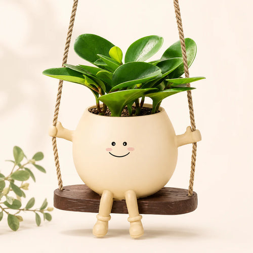 HappyHangs Plant Pot